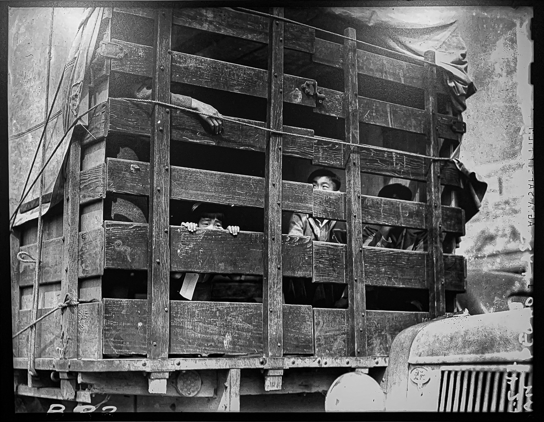 Then They Came For Me-7206