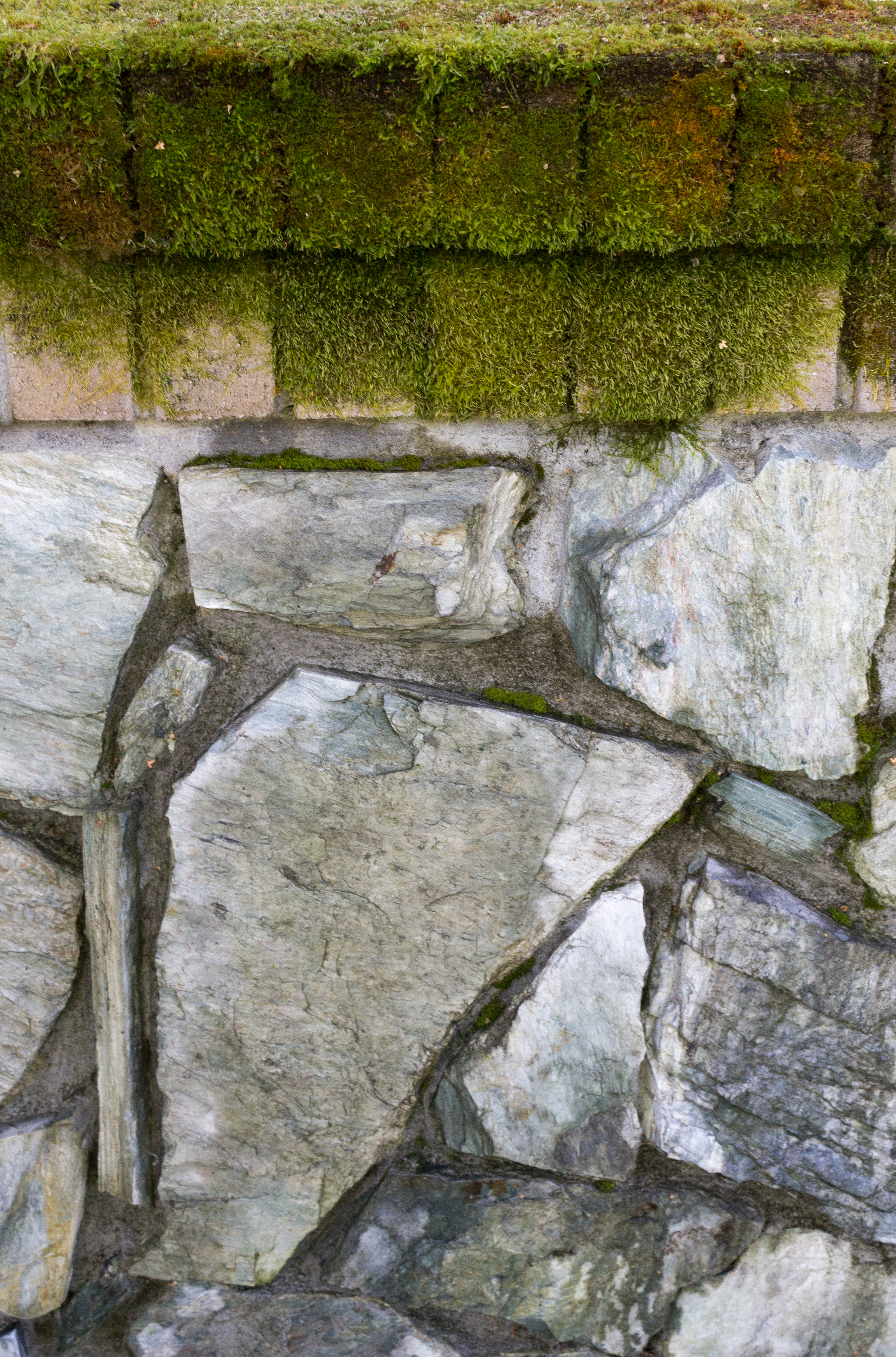 Wall with moss Texture3-1418