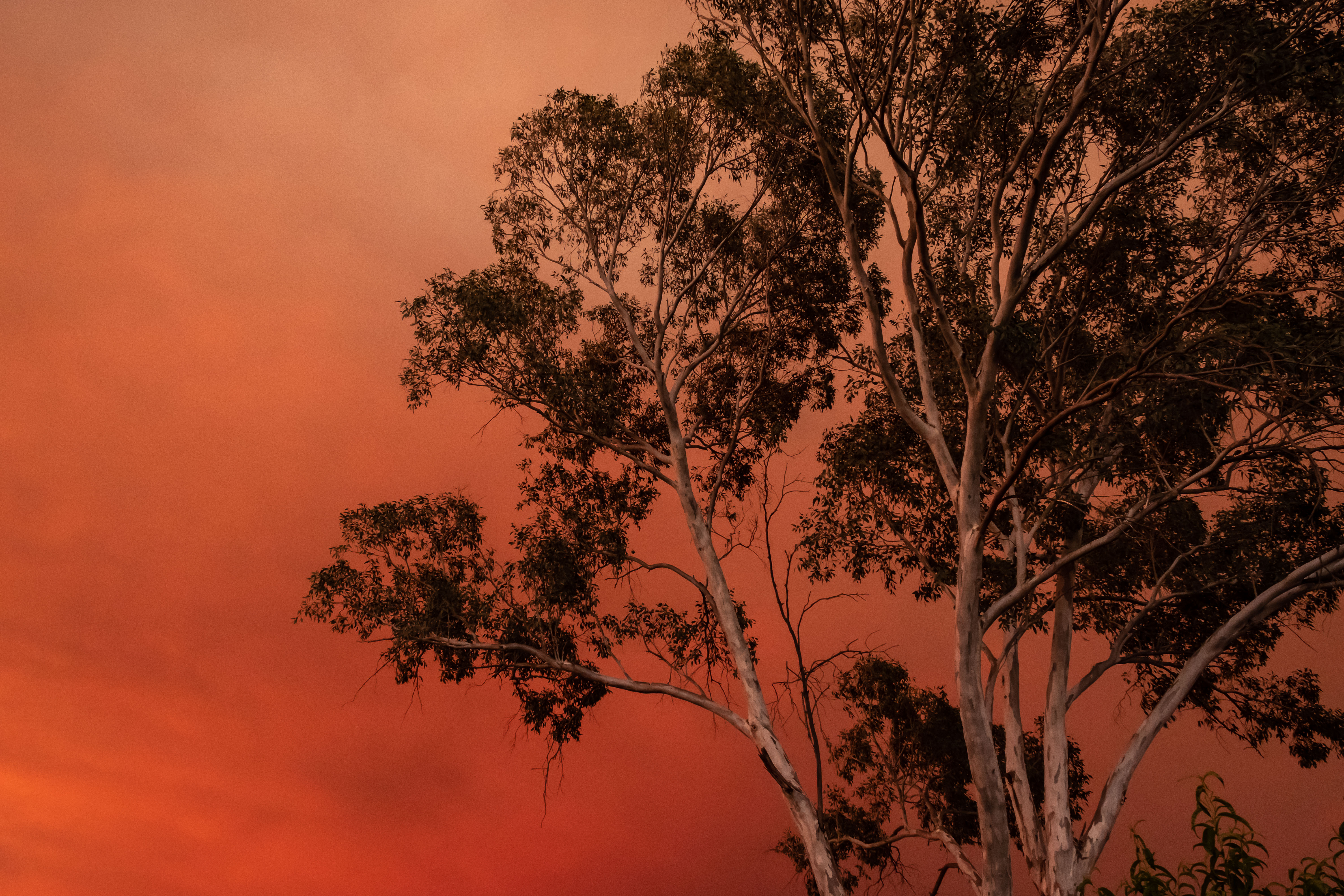Fiery Sunset from Yolo county-2163