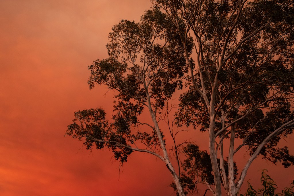 Sunset reflected in the East: a fire in Yolo County –&nbsp;7/1/18