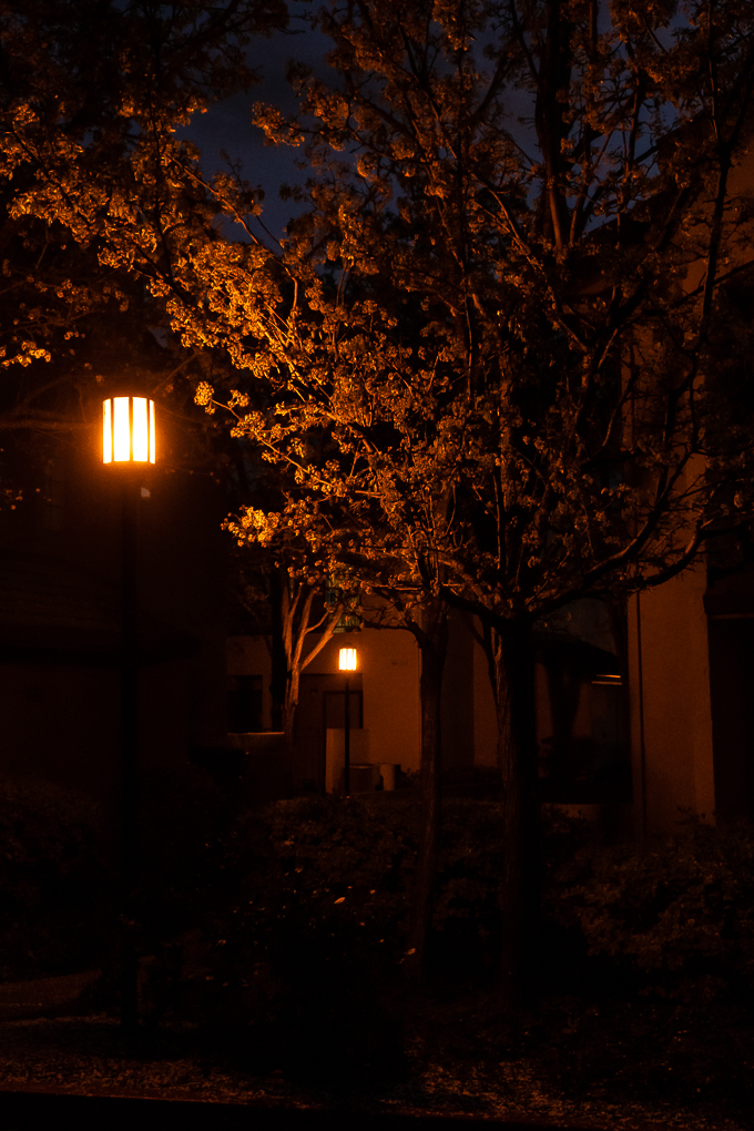 Neighborhood lamps