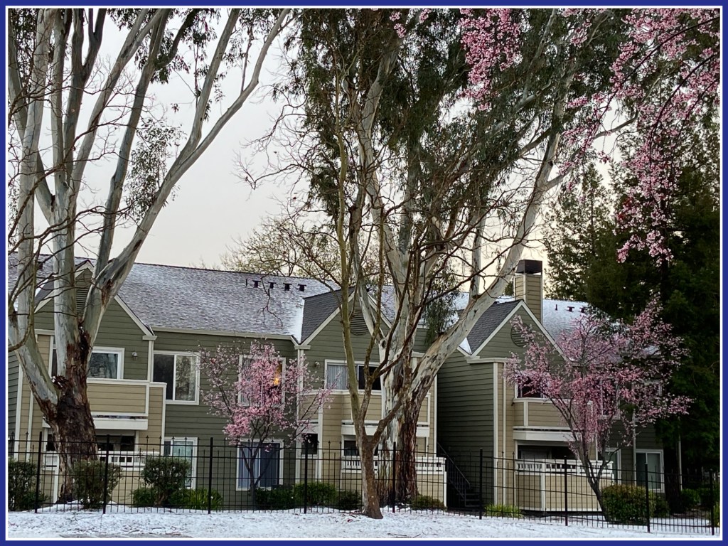 Hail Storm … in San&nbsp;Ramon???