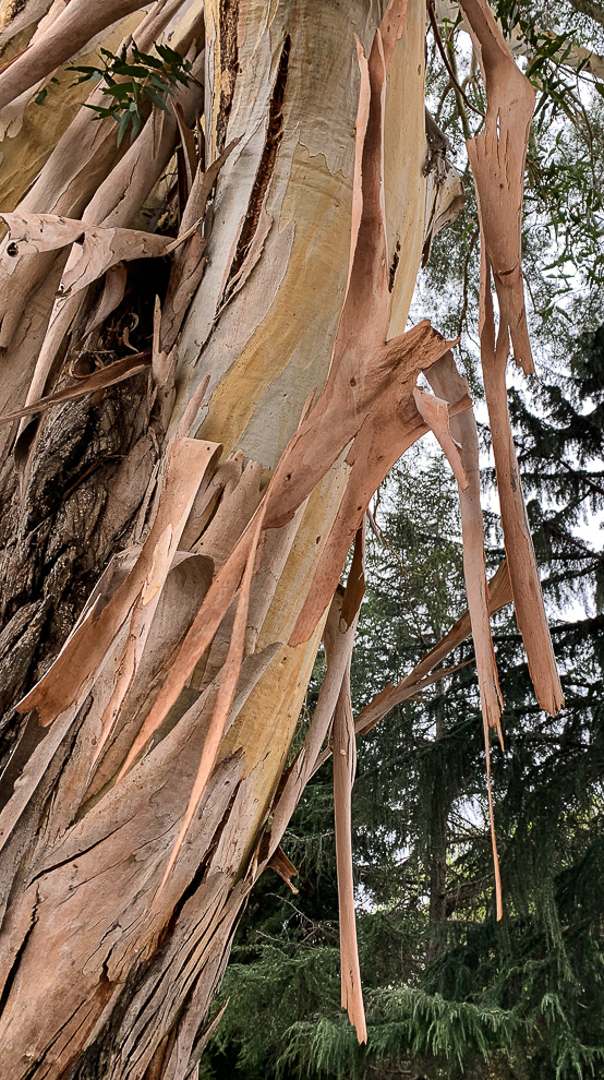 Lens-Artists Photo Challenge #117: A photo&nbsp;walk