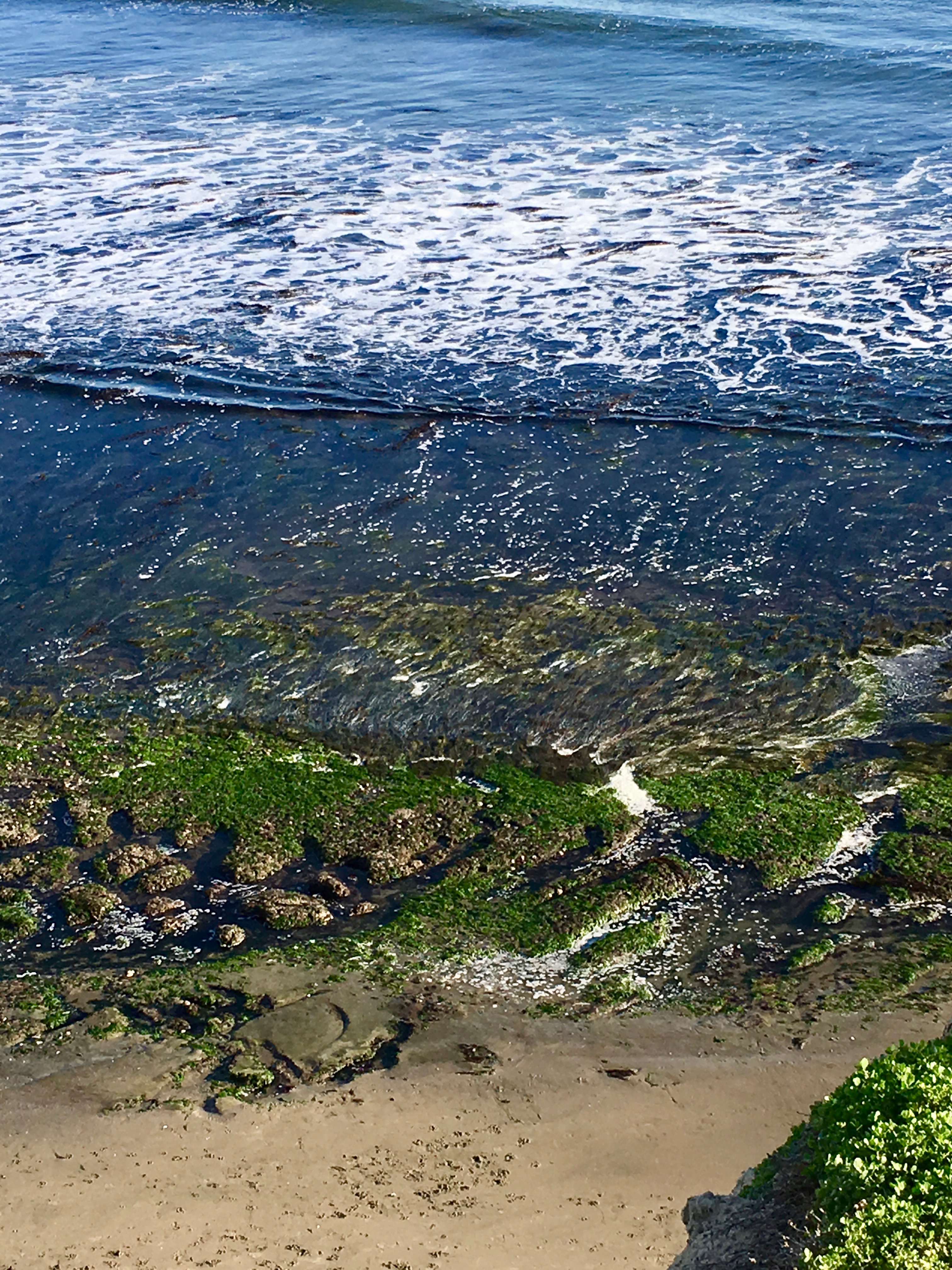 SC East Cliff low tide