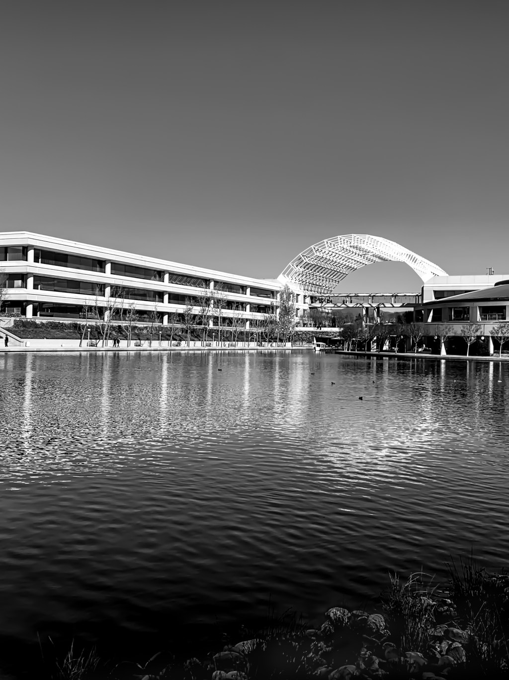 The lake… or pond at Bishop&nbsp;Ranch