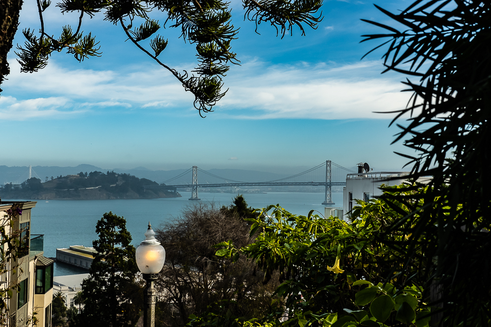 SF-1-1-20 - Telegraph Hill-6128