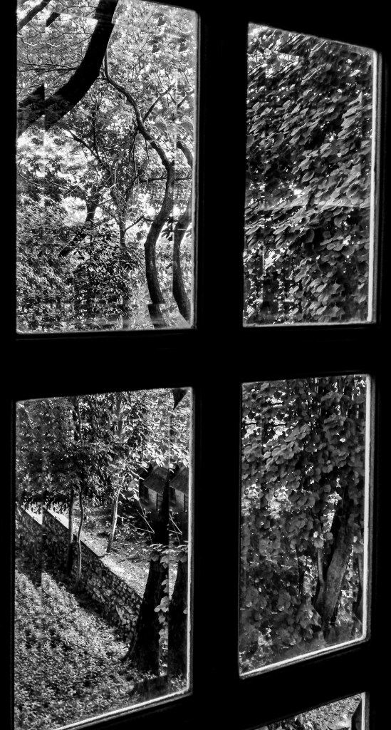 B&amp;W Bevelled Glass -0989