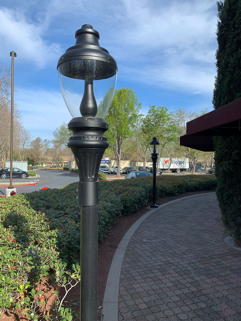 Lens-Artists- Street Lamp Cropped (orig.)-8282