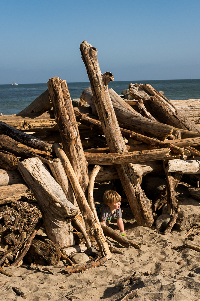 Capitola driftwood fort w- child-4313