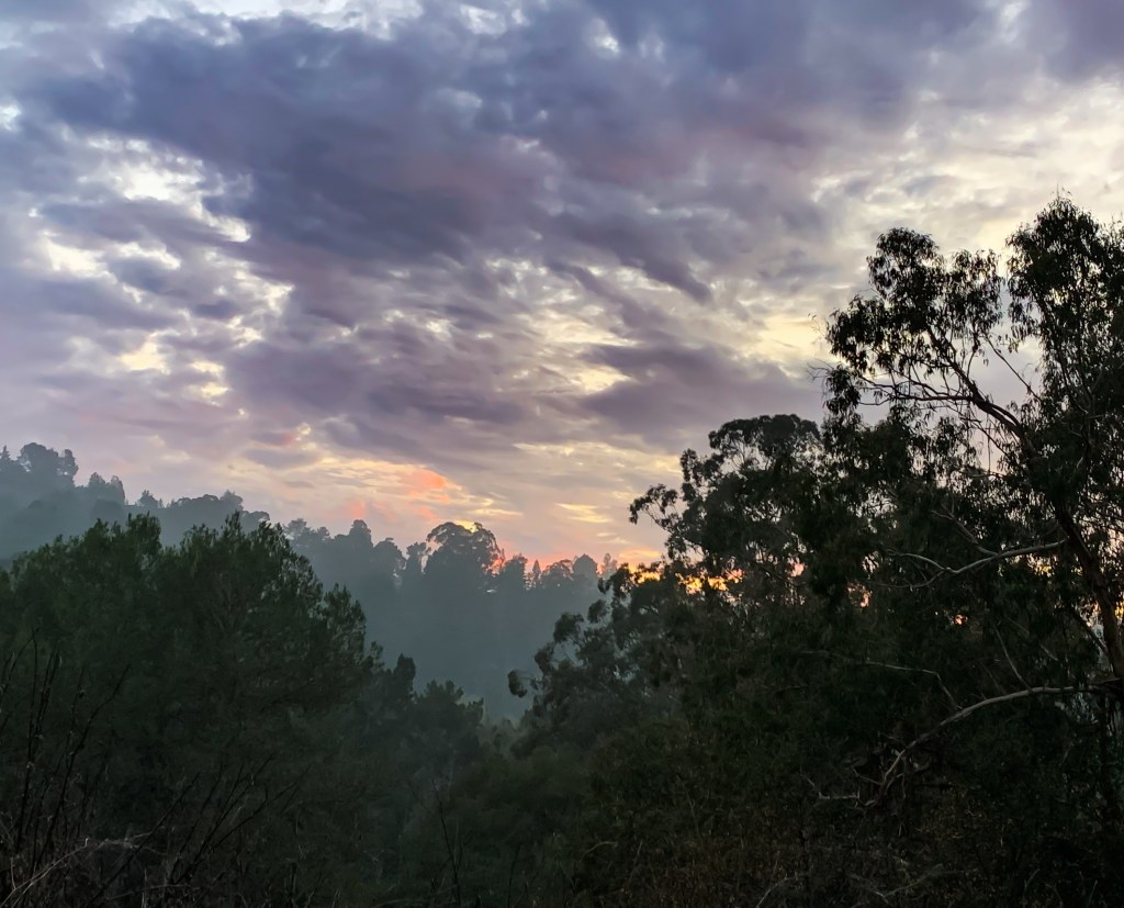 Tilden Park –&nbsp;sunset
