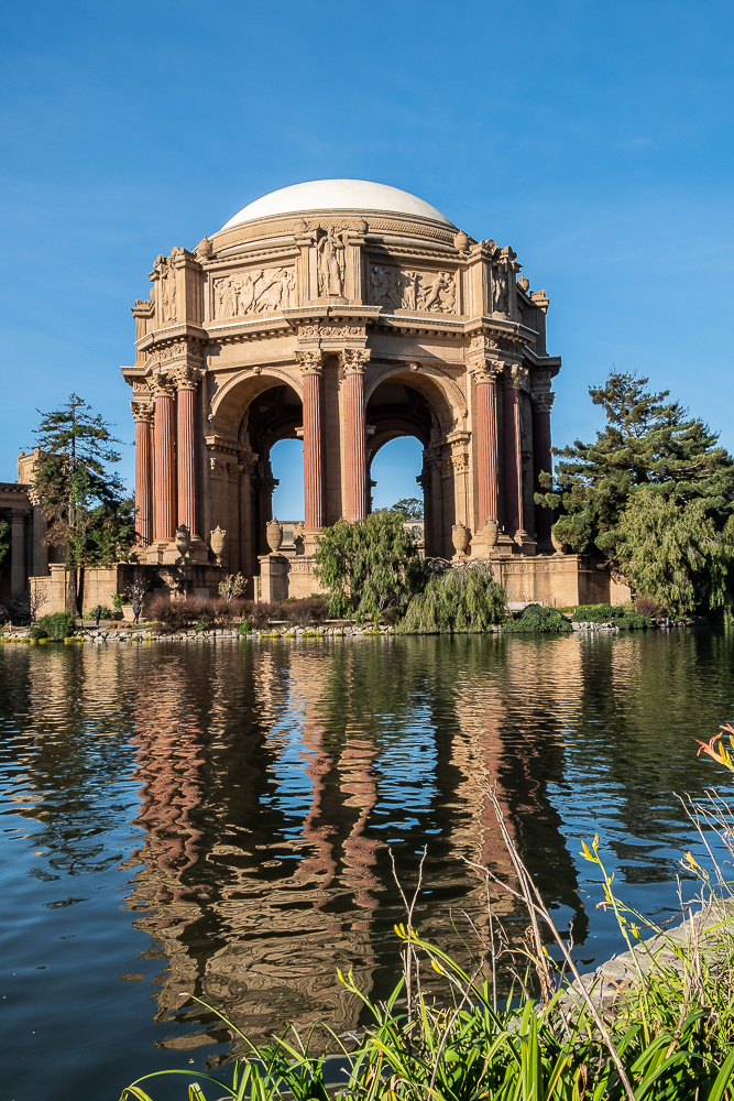 2019-1-1 morning-3128