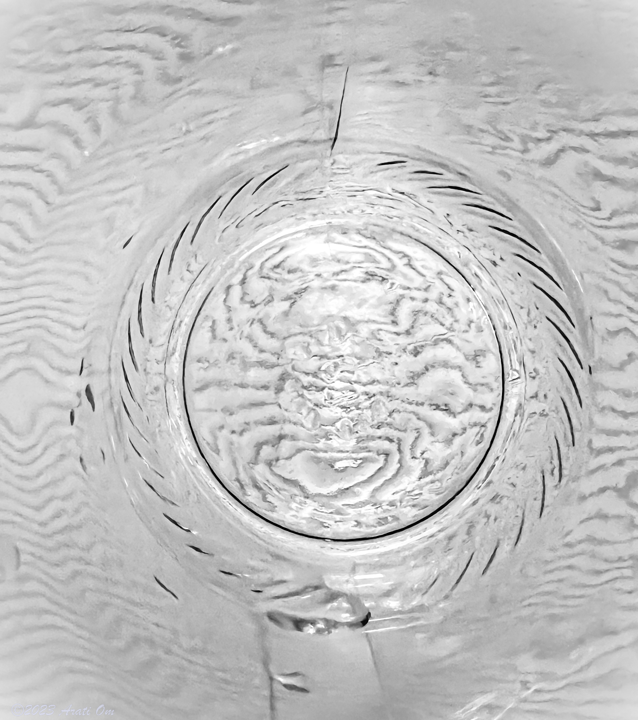 Monochrome Mondays: Through the mason jar