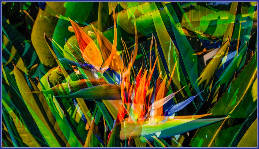 Echos of paradise&nbsp;(1)