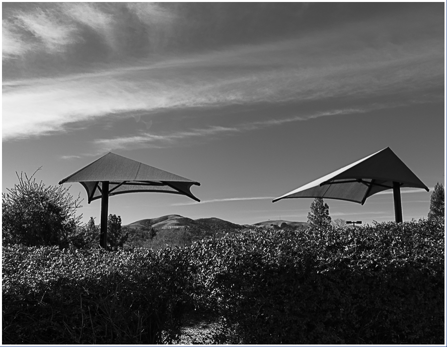 Monochrome Mondays: Shade