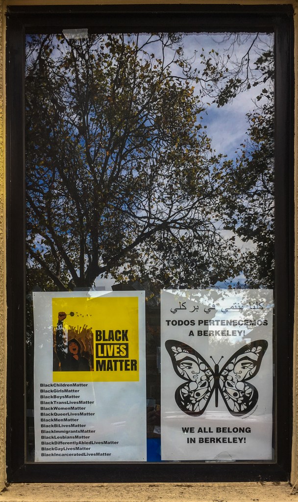 Respite from the suburbs-5467