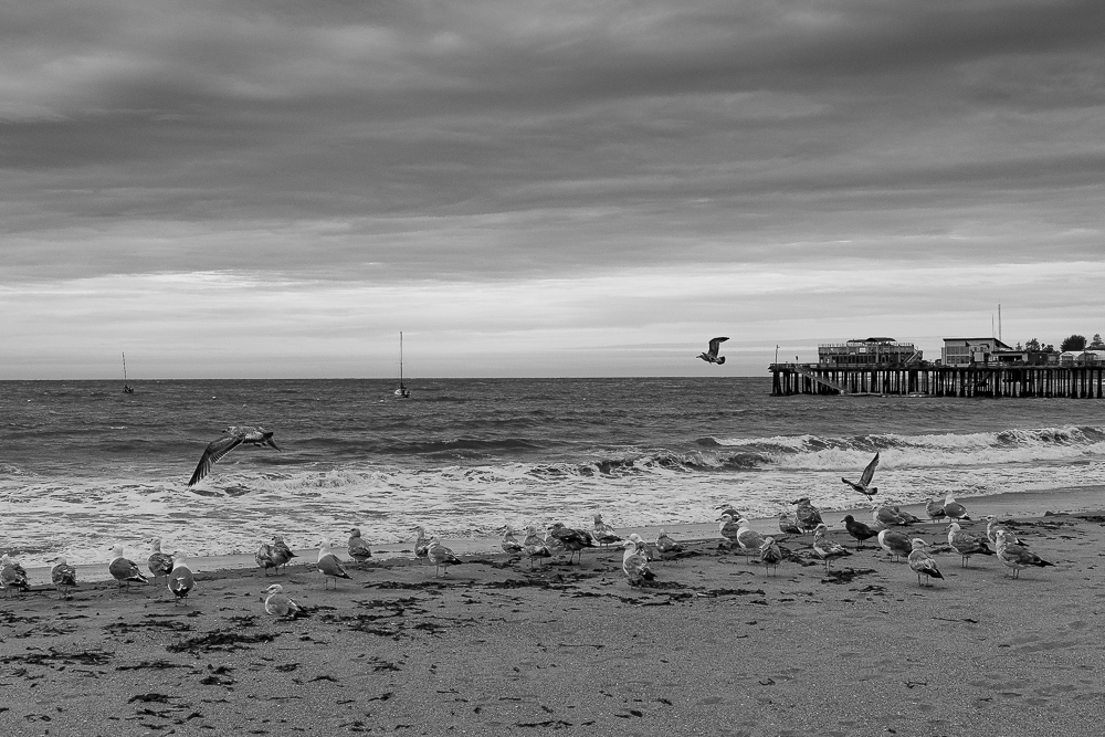 Capitola - Spring Storm-4550