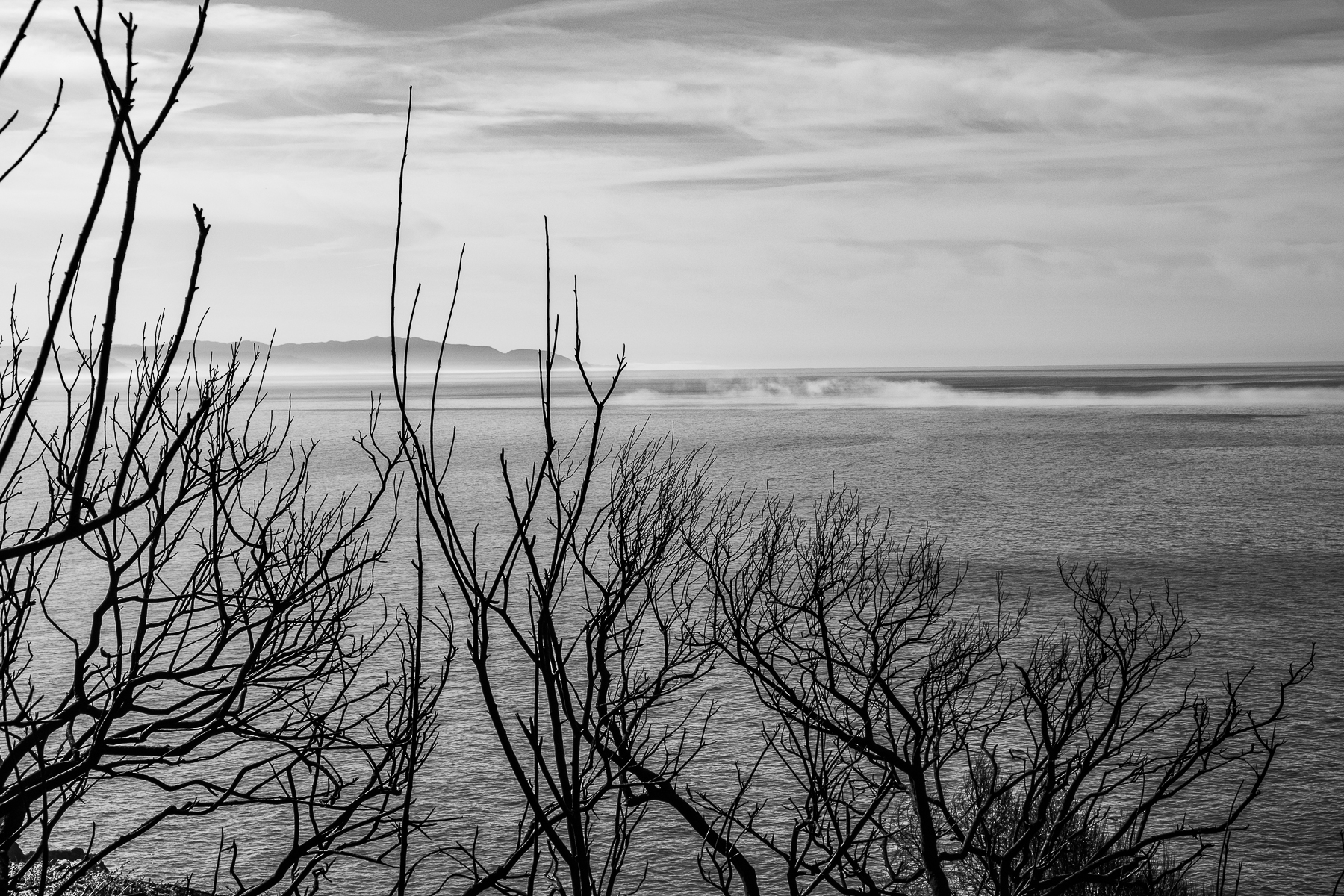 MM-After the fire-coast north of San Fancisco 3-6721