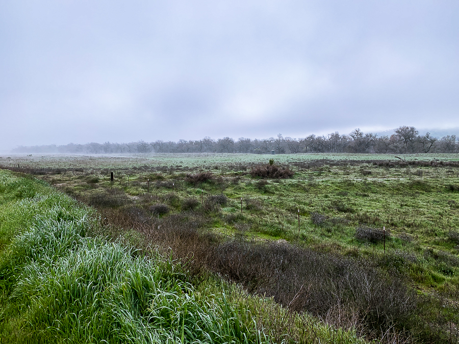Morning drive along the Salinas&nbsp;River