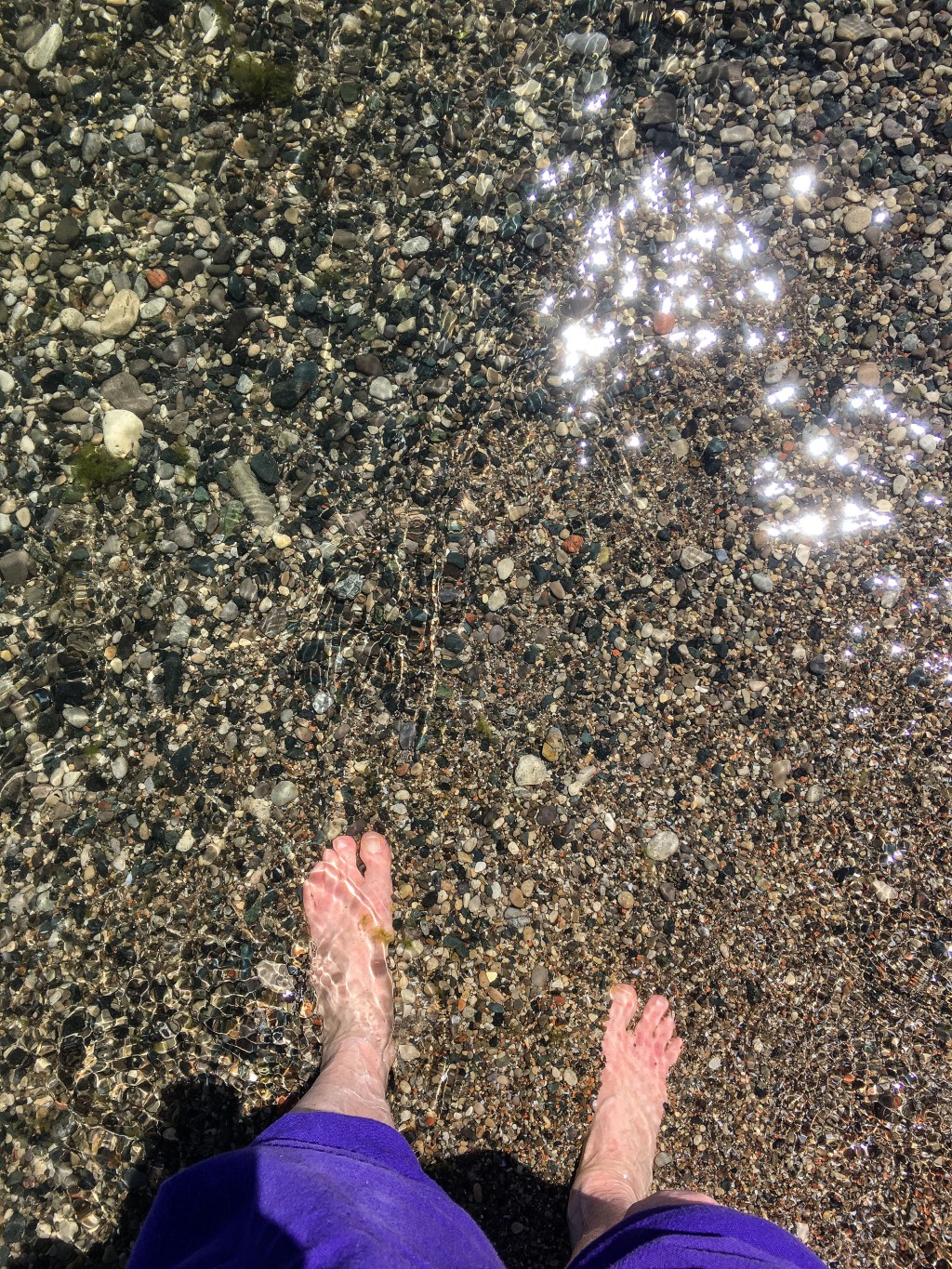 Cooling off in Lake&nbsp;Ontario