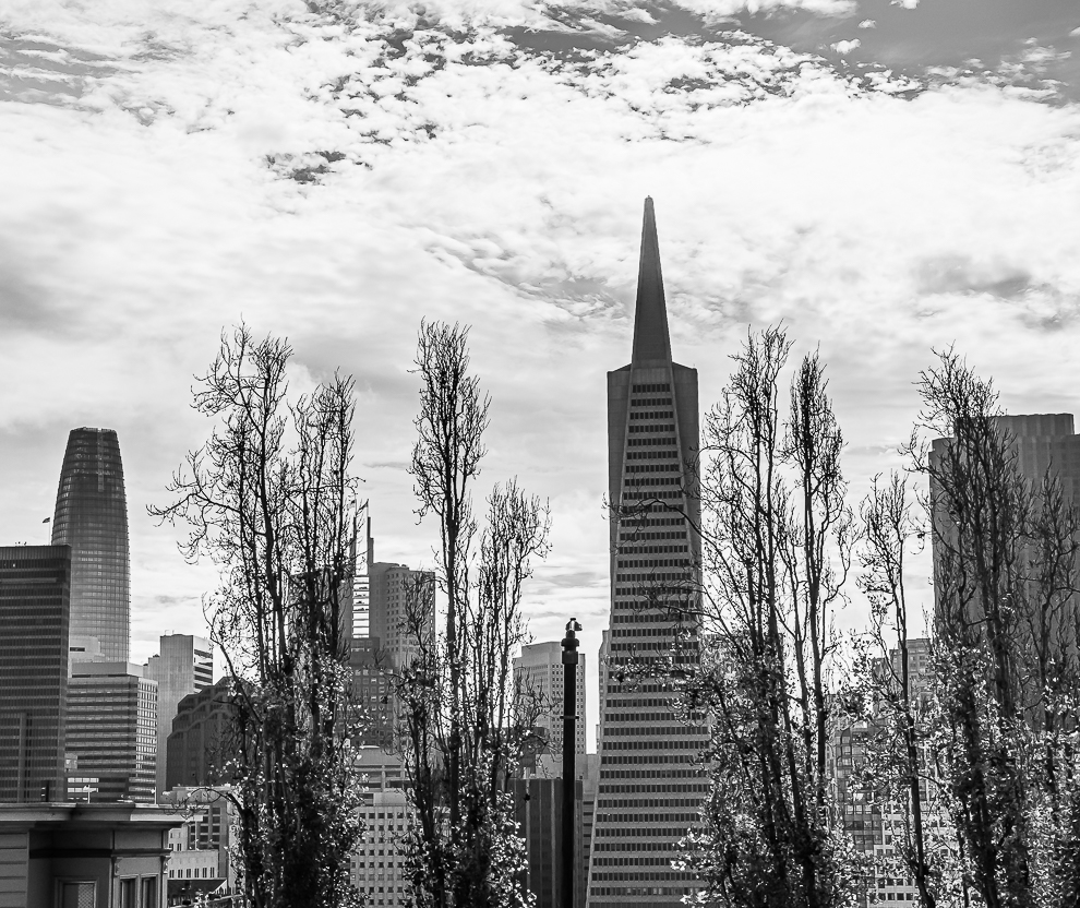 Downtown San Francisco-6081-4