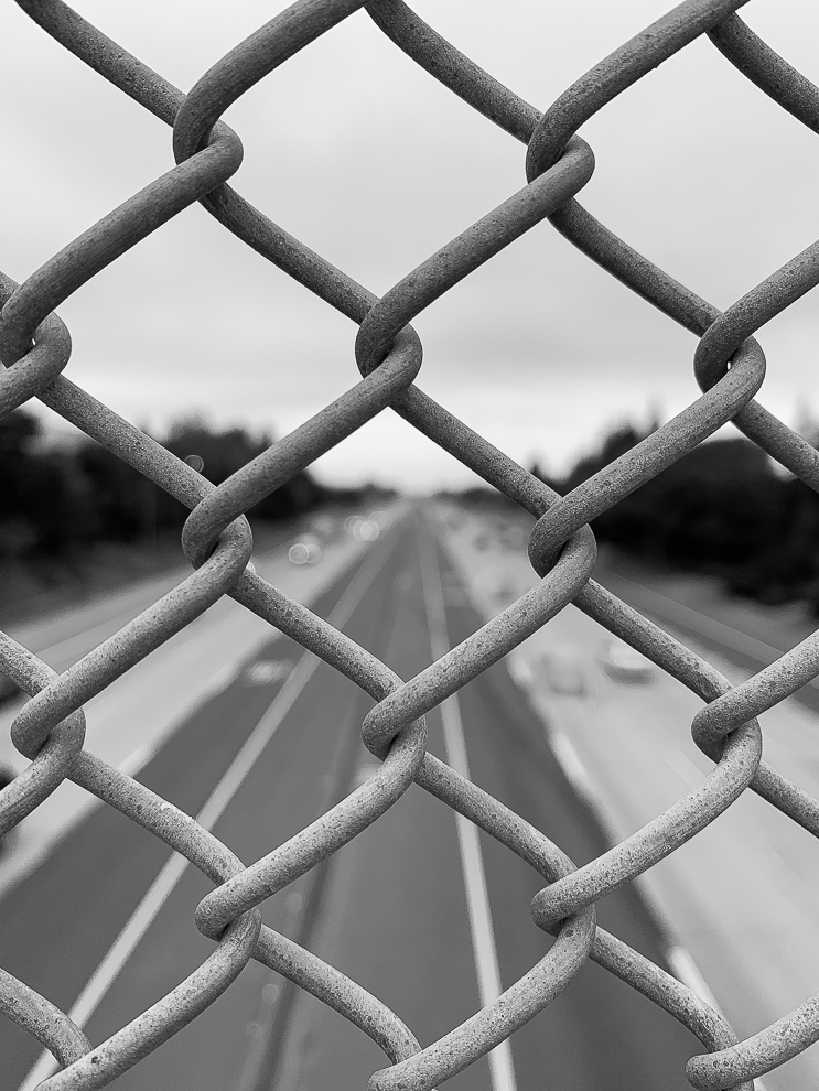 Monochrome Mondays: Choosing where to&nbsp;focus