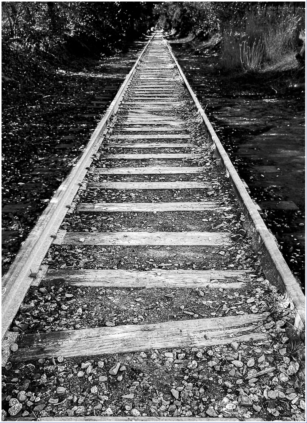 Monochrome Mondays: Mobilizing toward&nbsp;vision