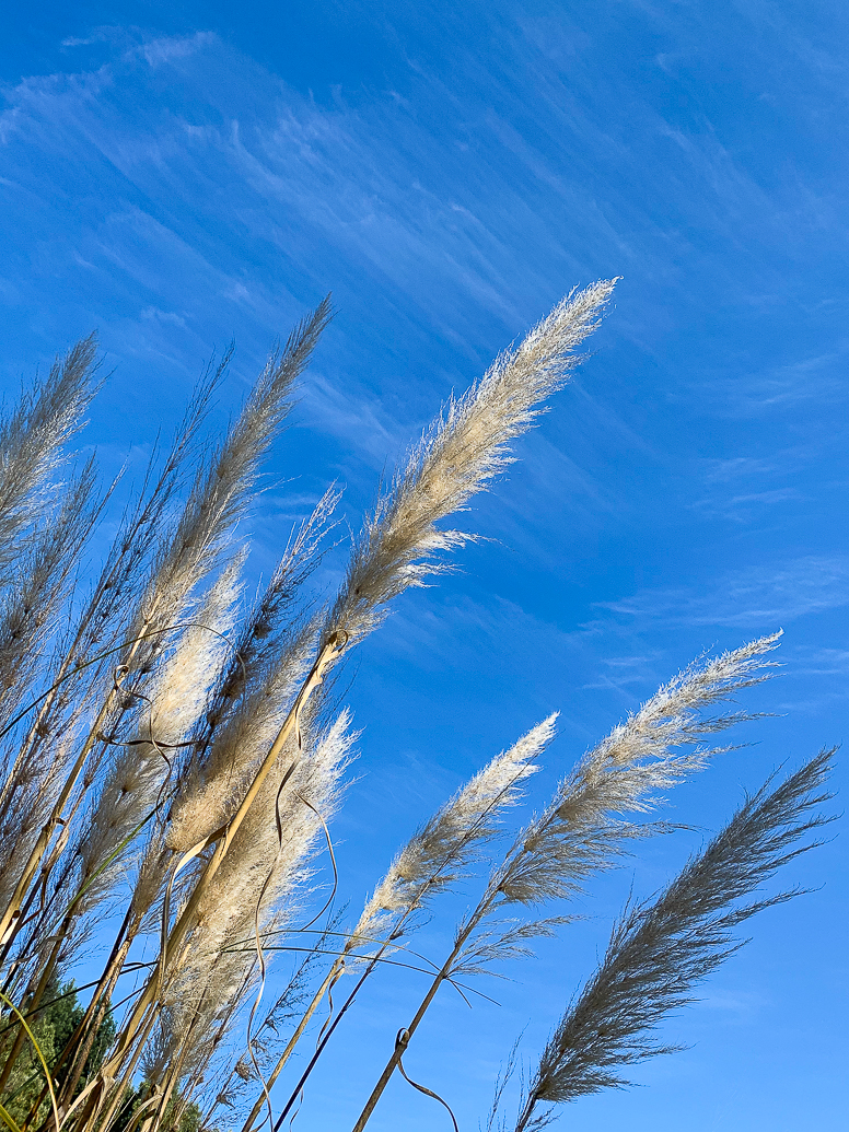 Painting a morning&nbsp;sky