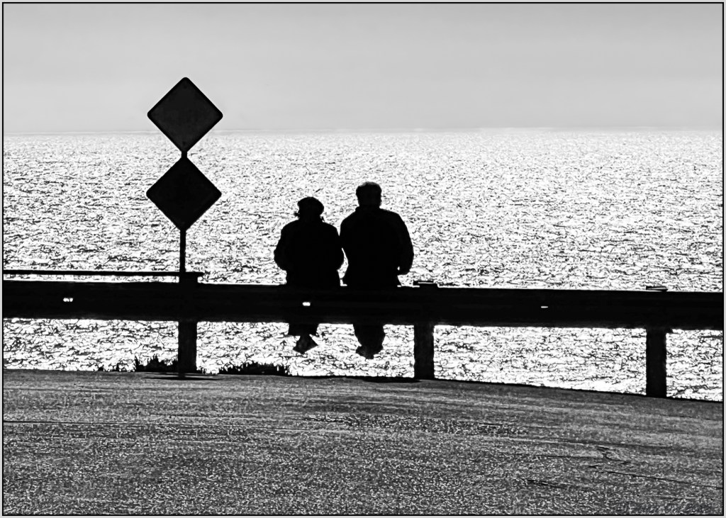 Monochrome Mondays: caught in the&nbsp;glare