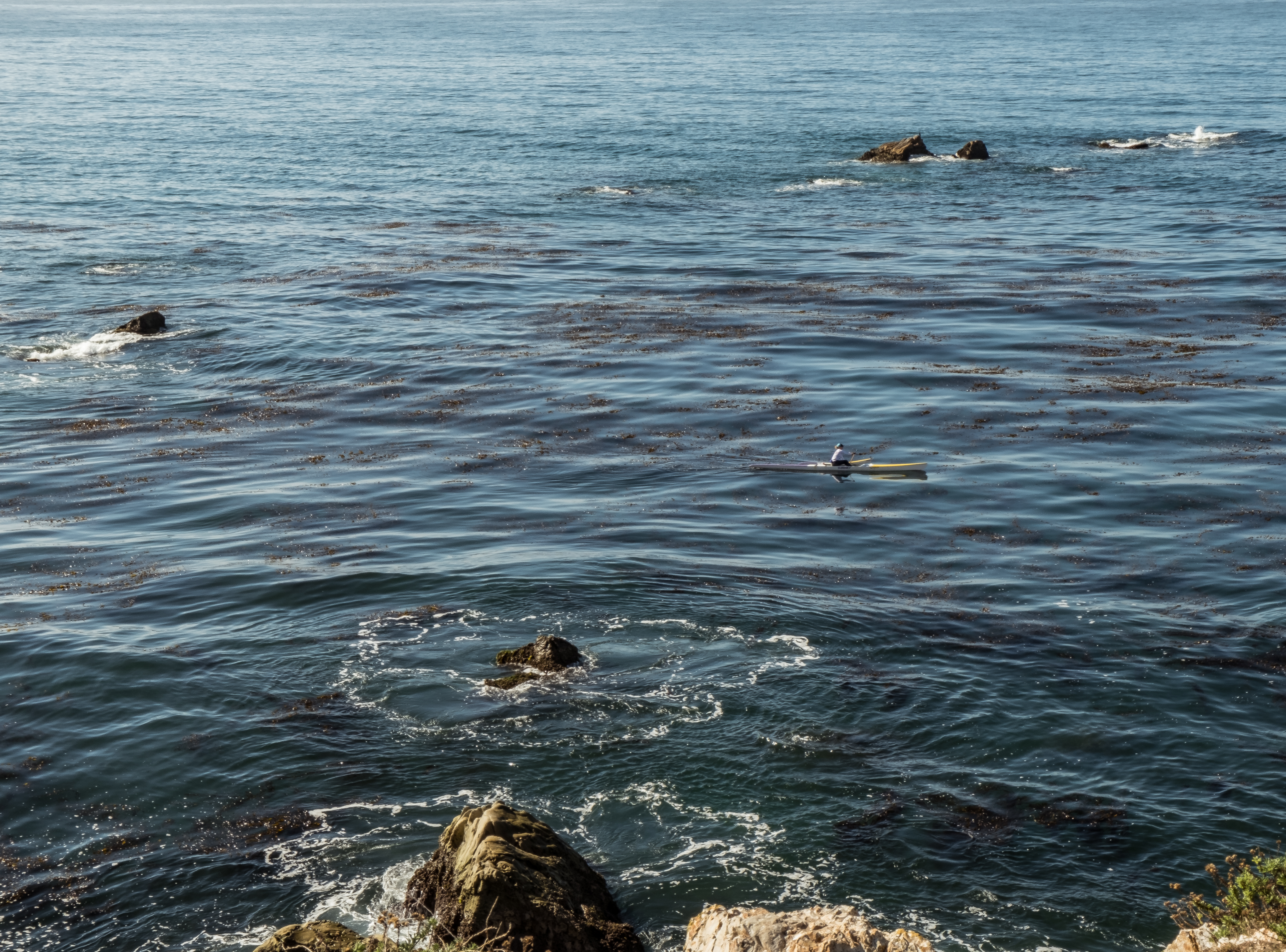 Shell Beach - Blue-0282