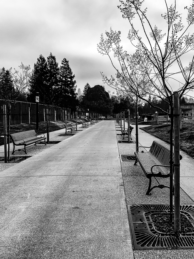 Monochrome Mondays: Benches waiting for the&nbsp;storm