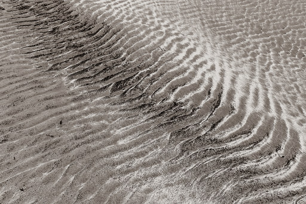 Mid-Week Monochrome –&nbsp;27