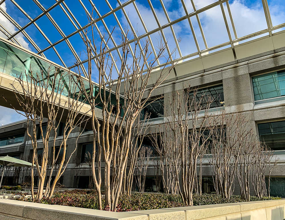 ww-bishop ranch branches-6010