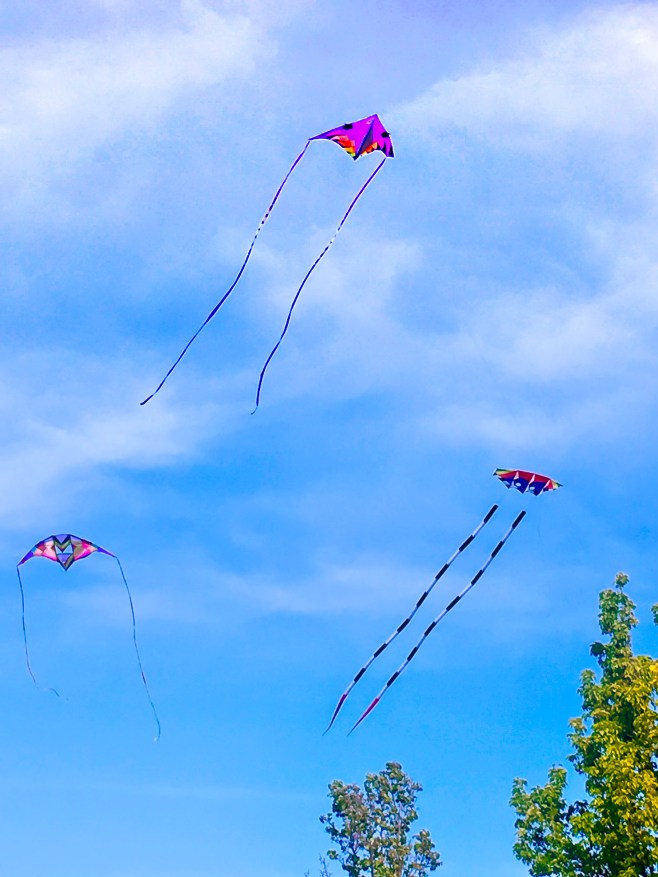 3 Kites - Dublin-4719
