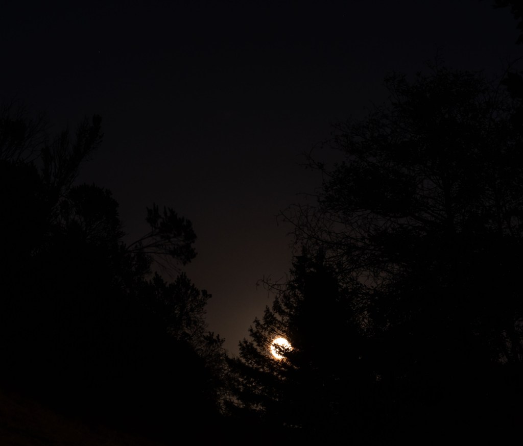 Flower Moon May 29,&nbsp;2018