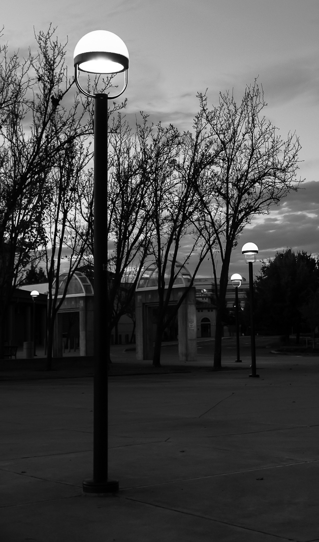 Night Life - Street Lamps-5844