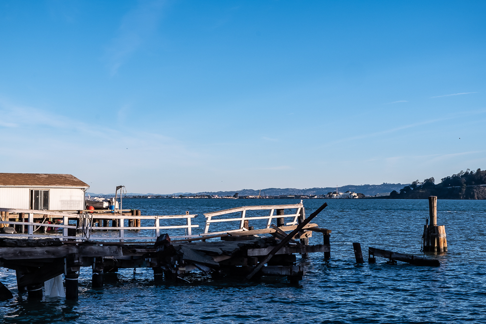 2019-1-1 morning-3085