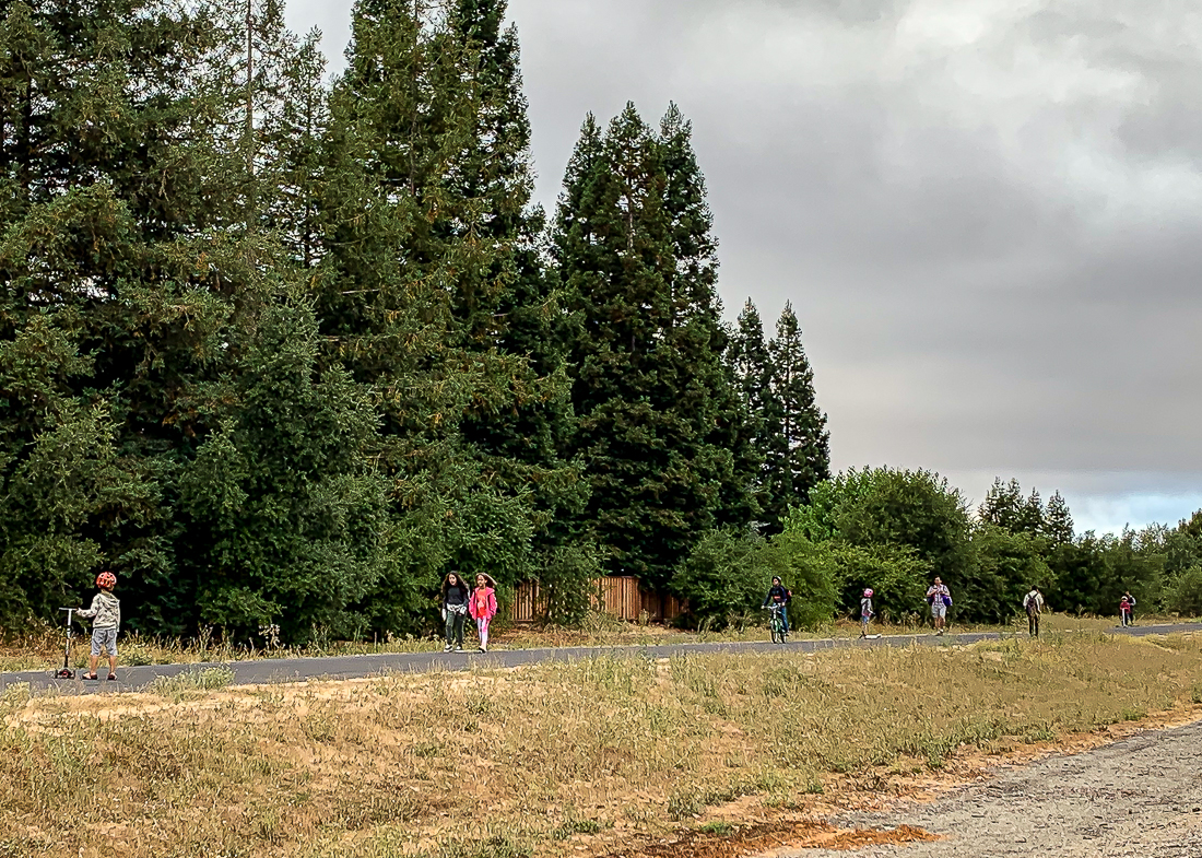 Monday morning ritual-7241