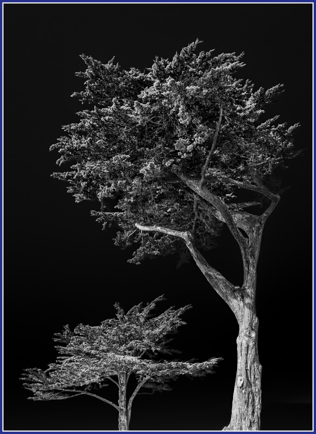 Monochrome Mondays: Letting&nbsp;go