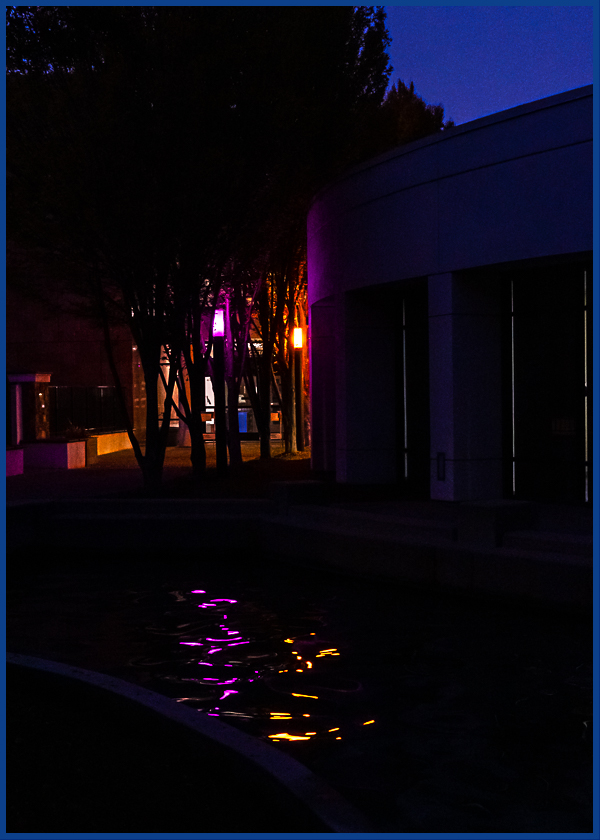 Lens-Artists Photo Challenge #123: Found in the&nbsp;neighborhood