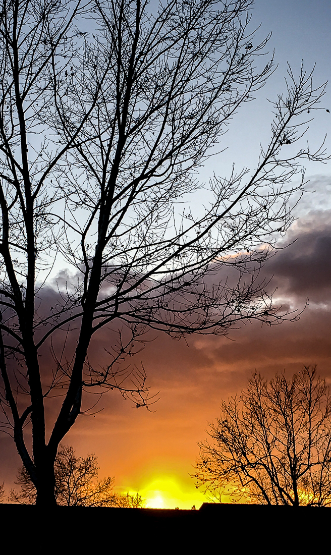 Silhouettes-4509