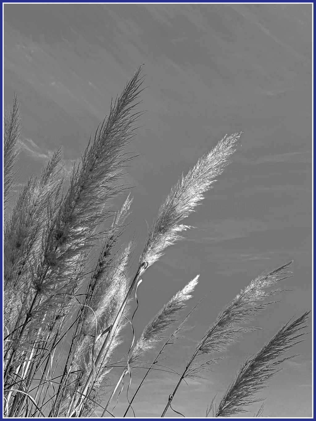 Monochrome Mondays: Painting clouds in the&nbsp;sky