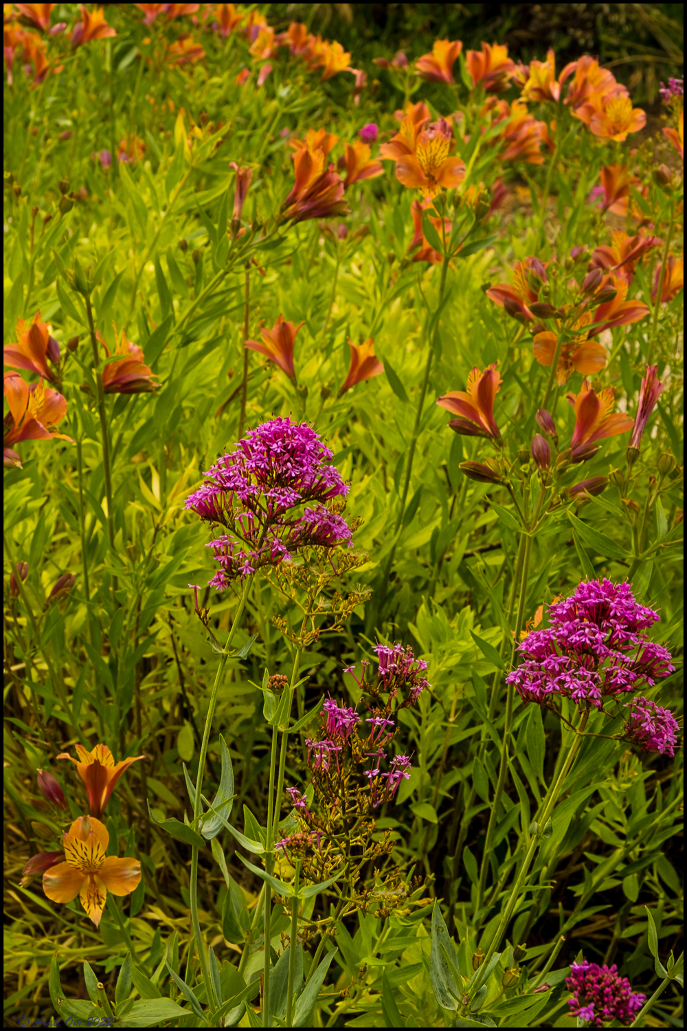 Coming back to&nbsp;center