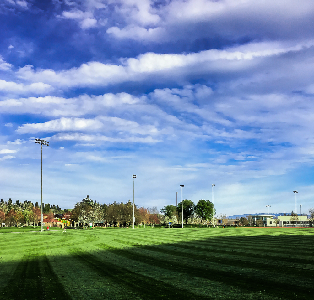 WW- Playing field full 1-4595