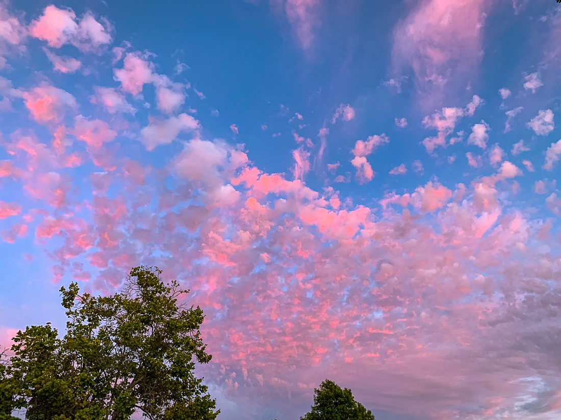 Painting clouds-7049