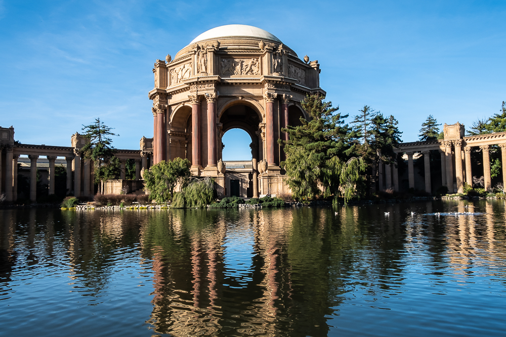 2019-1-1 morning-3123