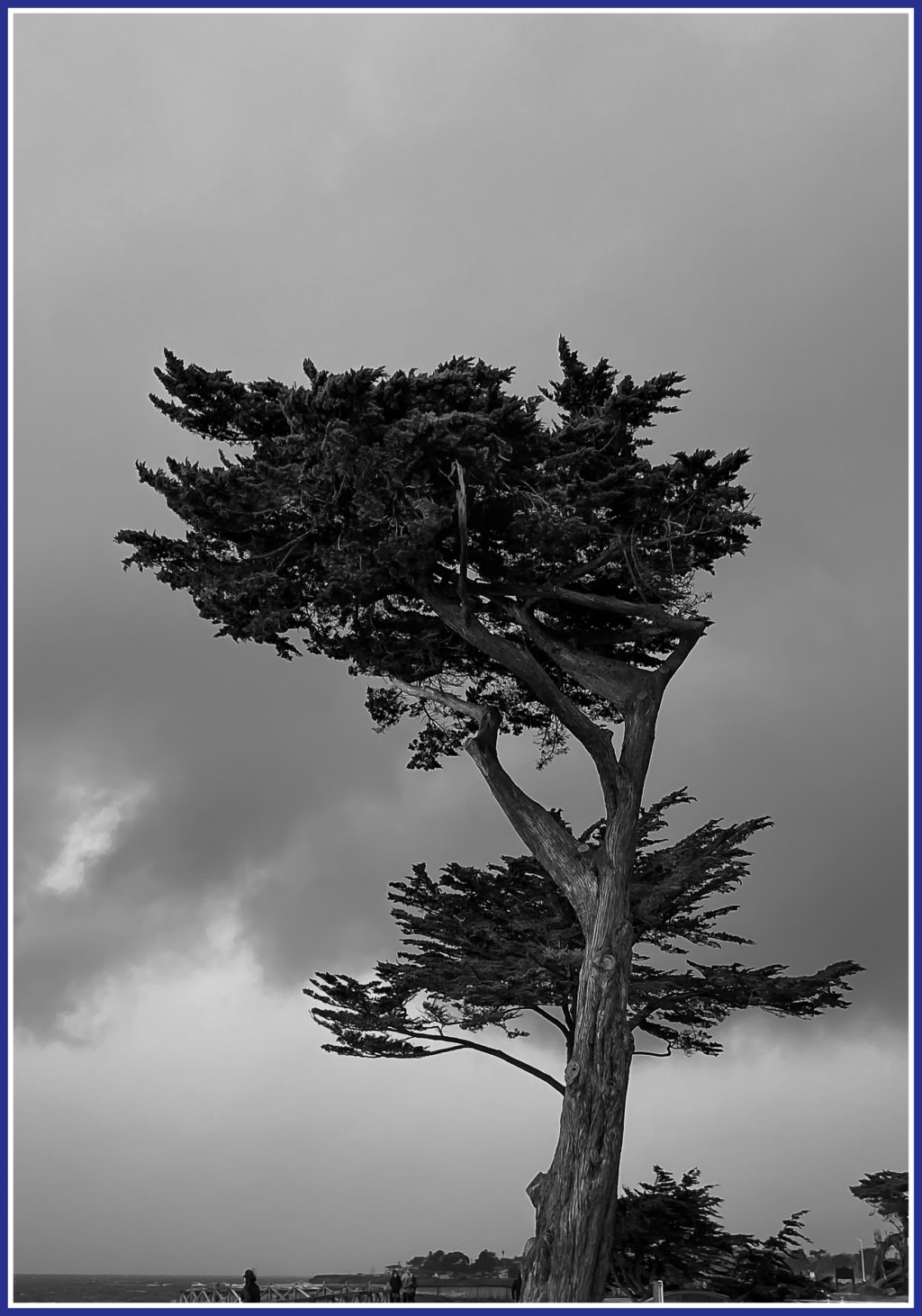 Monochrome Mondays: Sentinel