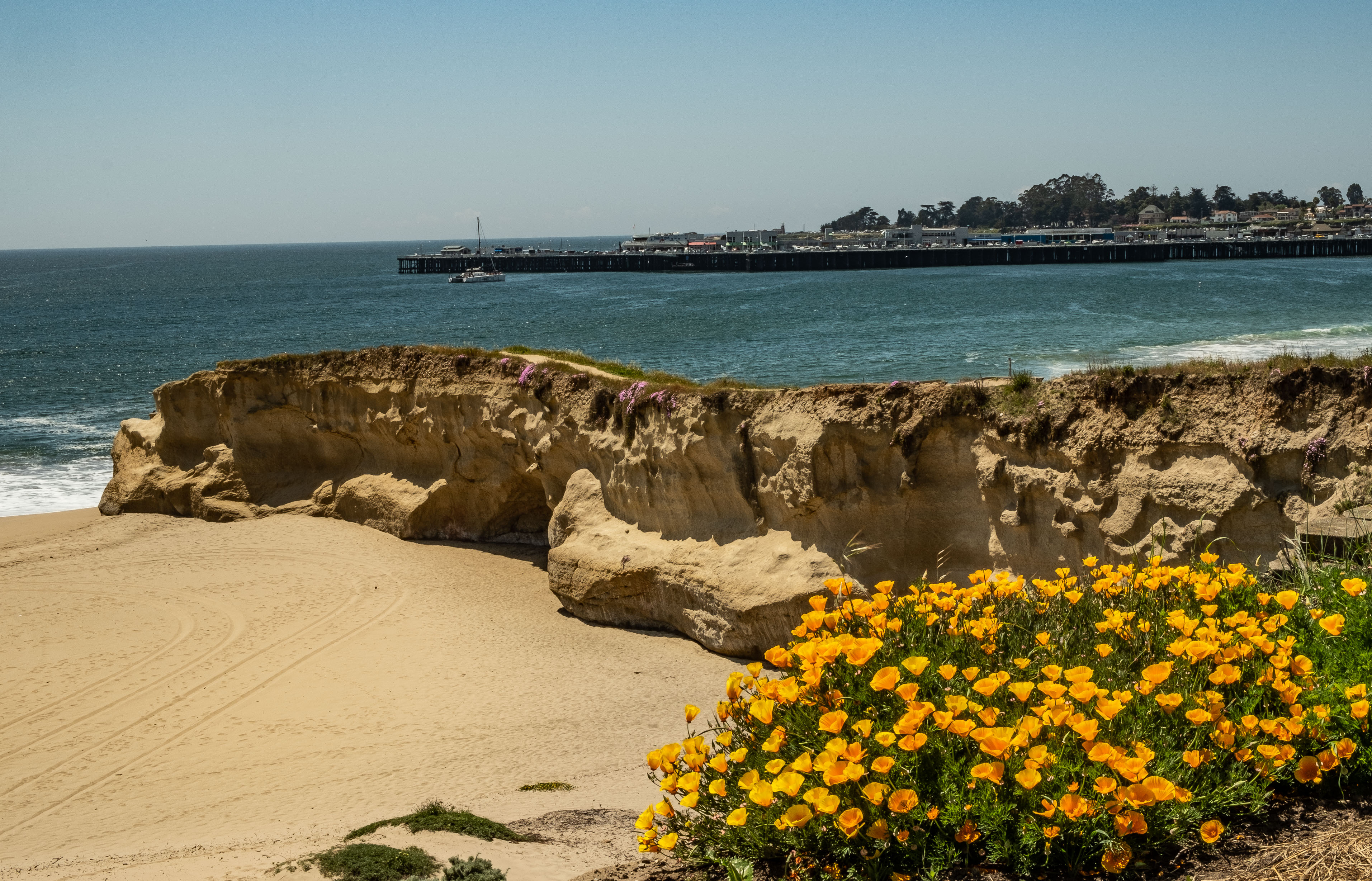 Beach day - Santa Cruz-1336-2
