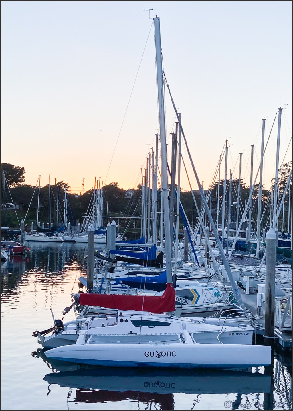 Finding Don Quixote on Monterey&nbsp;Bay