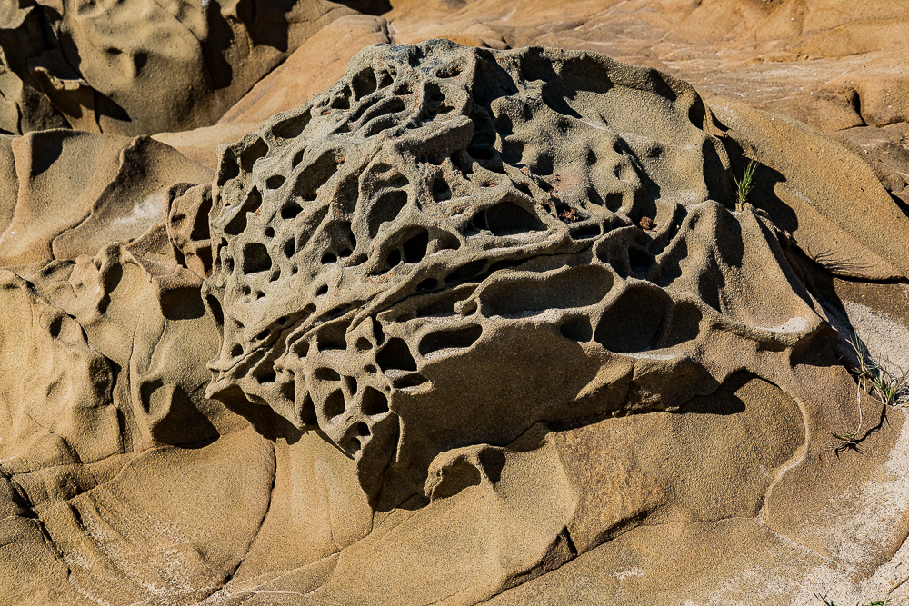 Beaches Hwy 1 - Mother's Day-4503