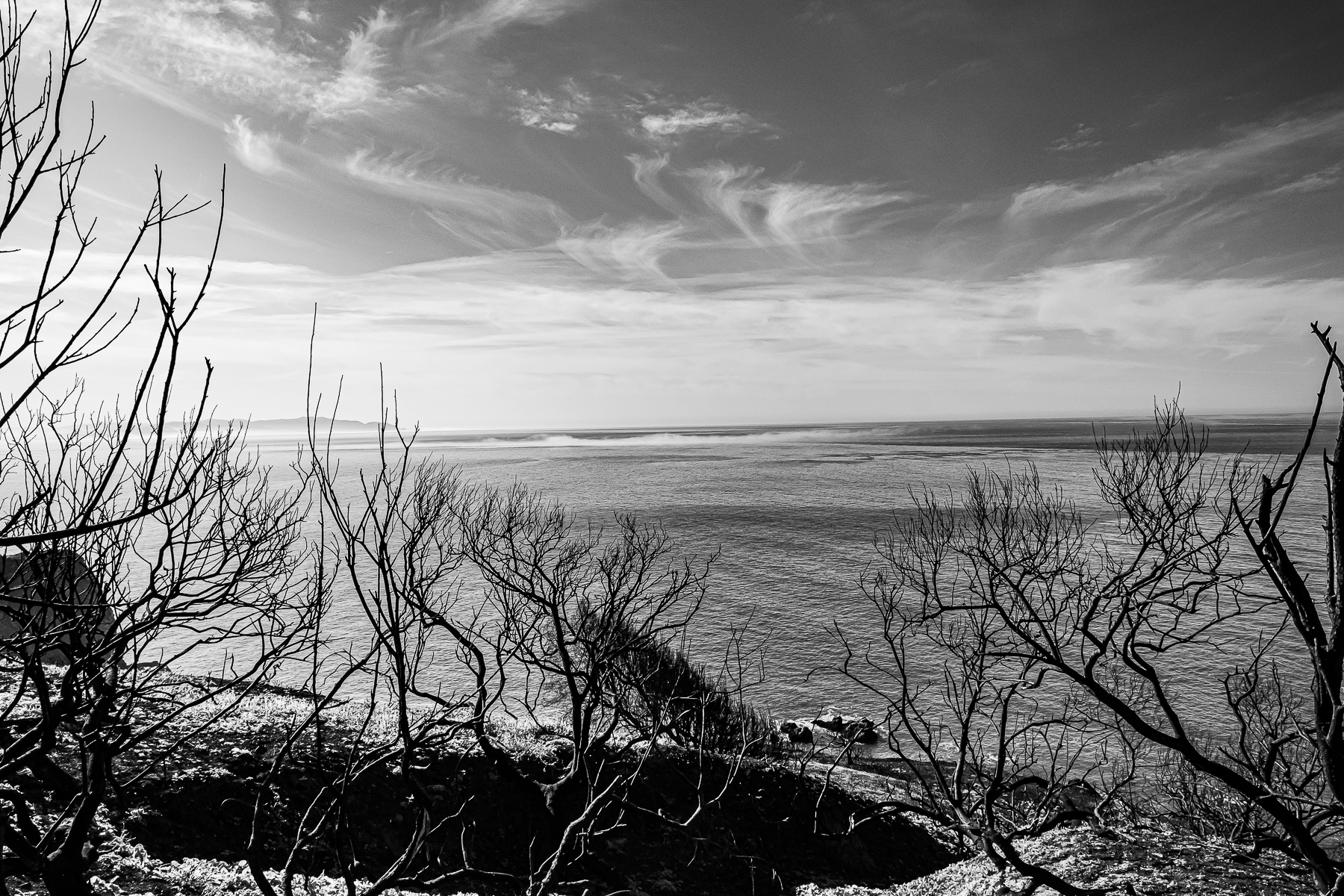 MM-North Coast after the fire-6719